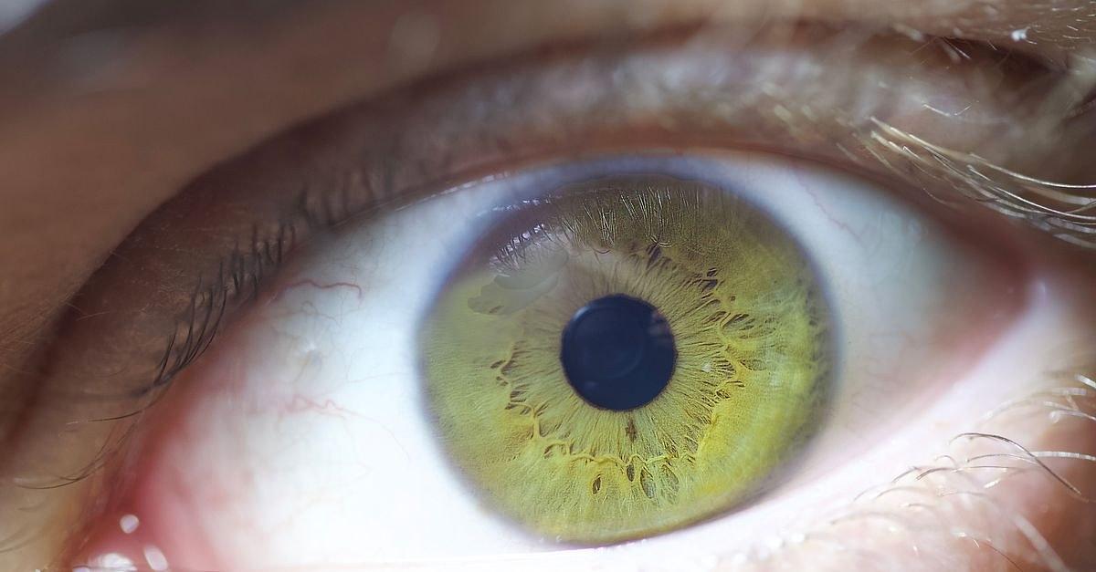 Extreme close-up of a green eye showing intricate iris patterns and eyelashes.